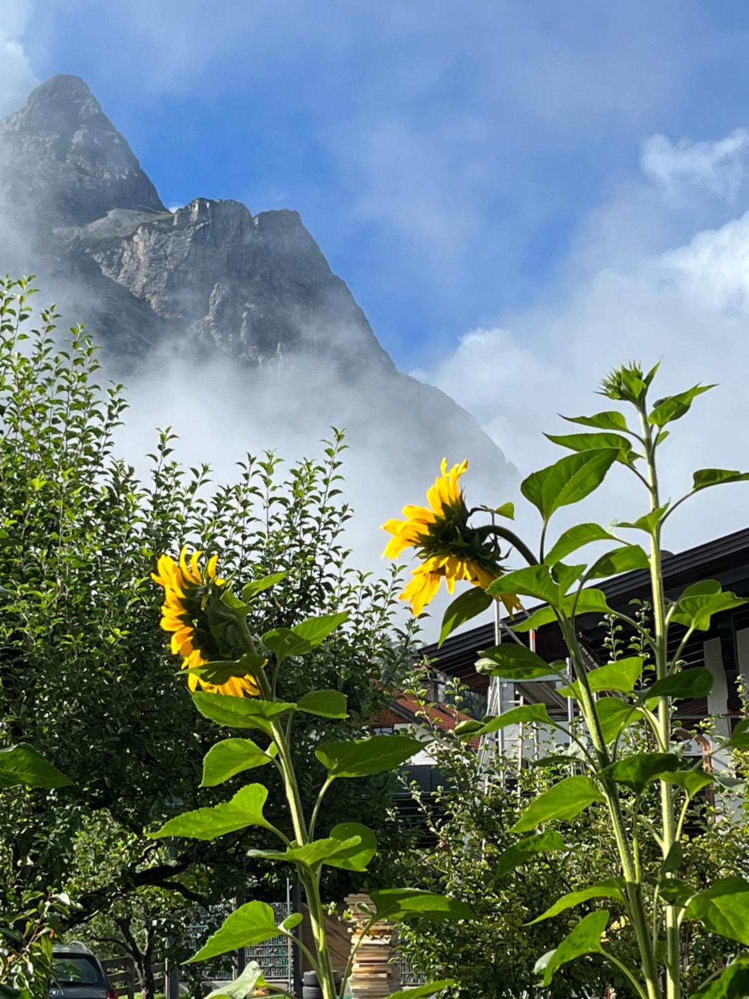 Апартаменты Haus Alpenblume Эрвальд Экстерьер фото